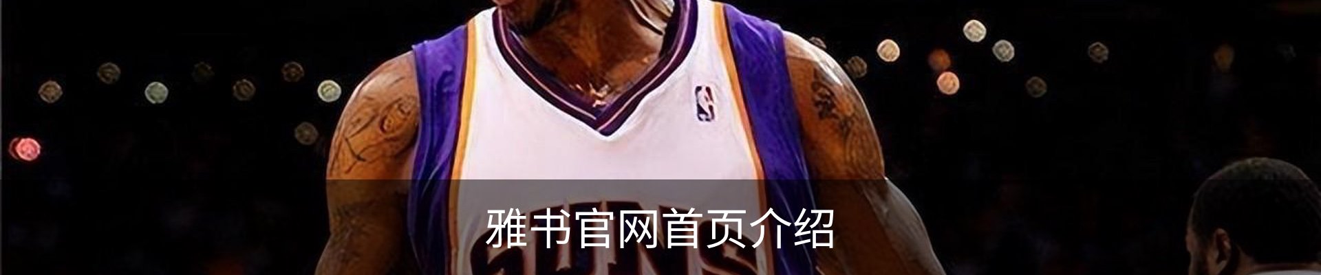 内页banner